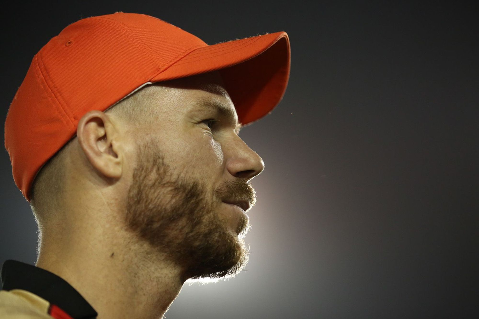 david warner ipl 2019