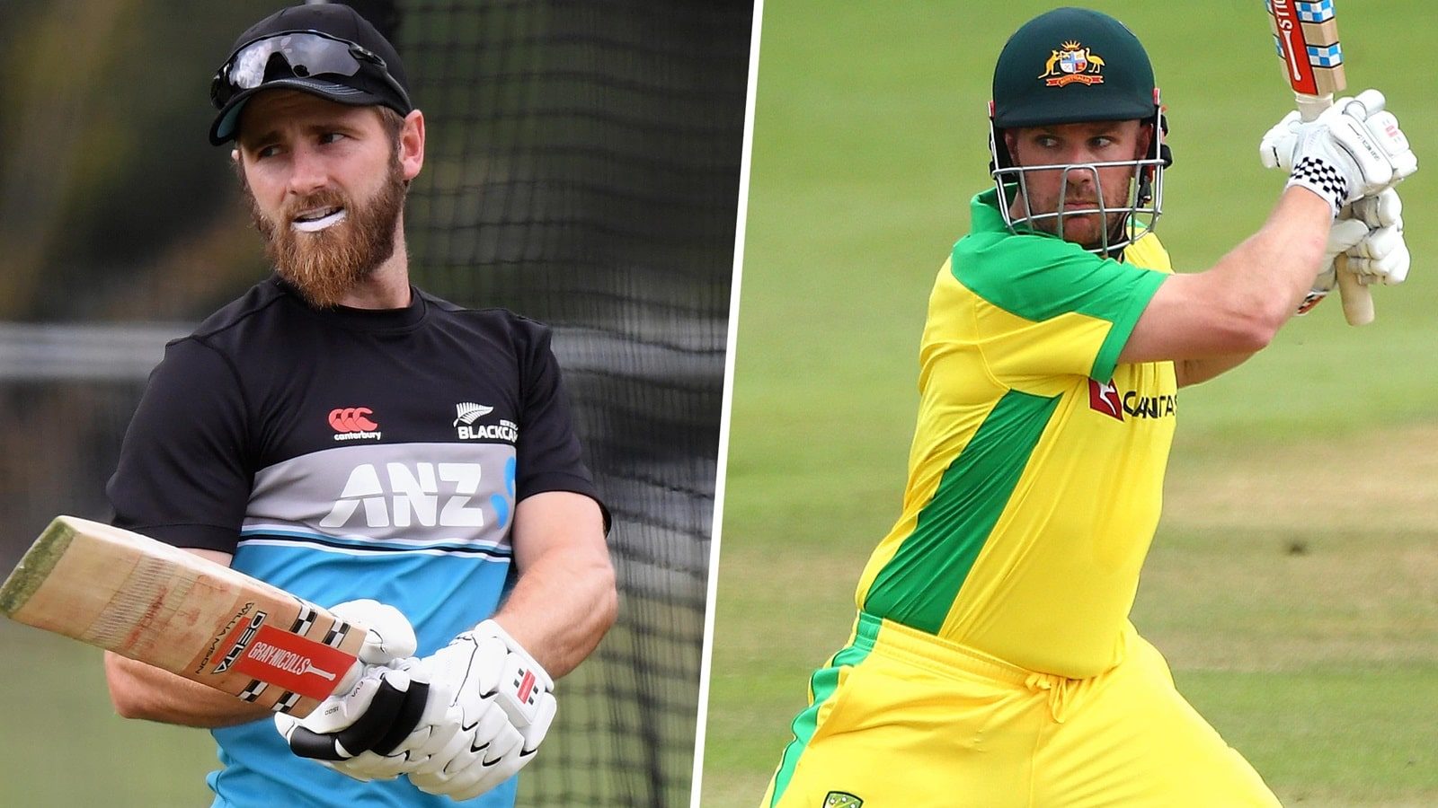 NZ vs AUS